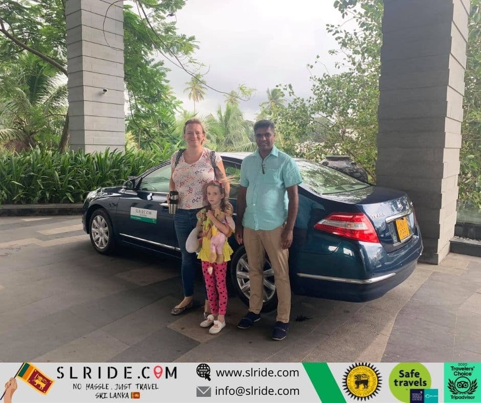 Private driver tour Sri Lanka - tea plantation