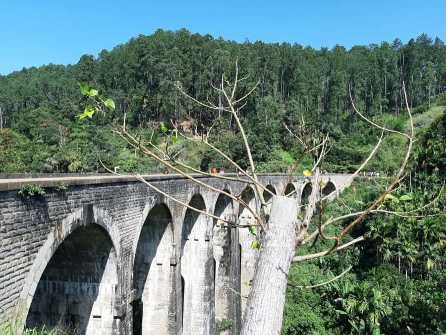 Scenic Train Ride Through Hill Country