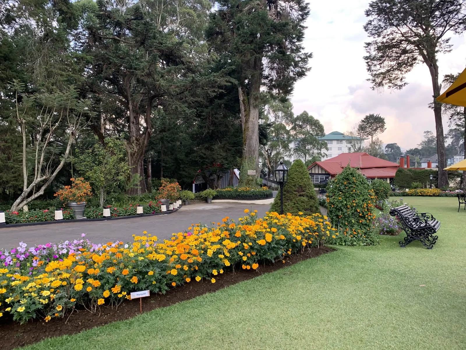 nuwara eliya city tour